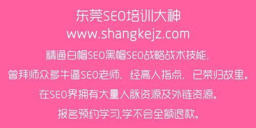 seo优化网是什么？如何利用seo优化网进行网站优化？