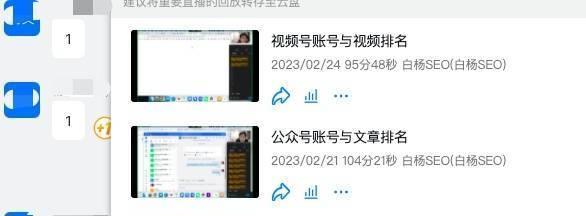 如何进行网站seo查询？