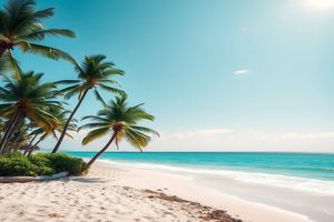 闲鱼卖货，钱去哪了？怎么提现？